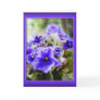 Violets in the Window - Card