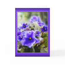 Violets in the Window - Card