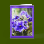 Violets in the Window - Card