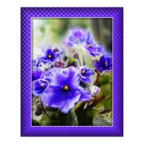 Violets in the Window posters by Floral_Dreamsnet Violets in the Window posters