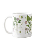 Violets mugs