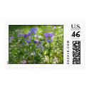 Violets postage by cliffordphotos Violets postage