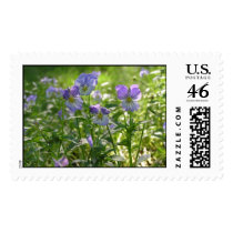 Violets postage by cliffordphotos Violets postage