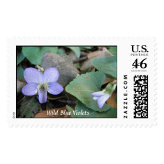 Violets Postage stamp