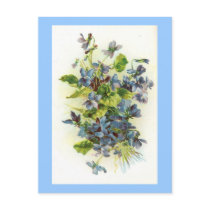 violets postcards