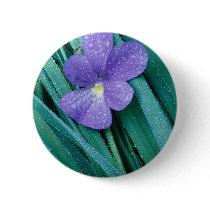 Violets R Blue buttons