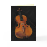 violin, violins, fiddle, fiddles, violinist,