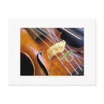 Violin Closeup postcards