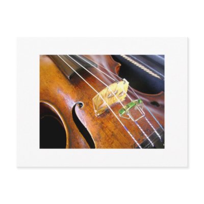 Violin Closeup Postcard by ZarafaPress