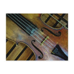 music,violin,violinist,classical,strings,instrumen