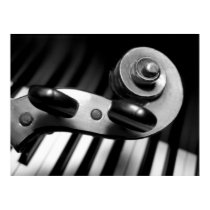 Violin Scroll over Piano Keys posters