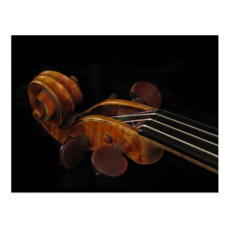 Violin Scroll Postcard