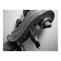 Violin Scroll posters by ViolinSiteStore Violin Scroll posters