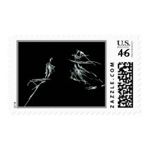 Violin Solo Postage Stamp