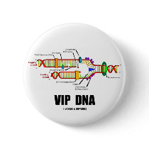 VIP DNA (DNA Replication Humor) buttons by wordsunwords VIP DNA (DNA Replication Humor) buttons