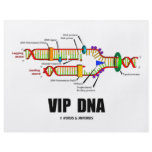 VIP DNA (DNA Replication Humor) flyers