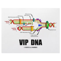 VIP DNA (DNA Replication Humor) letterhead by wordsunwords VIP DNA (DNA Replication Humor) letterhead