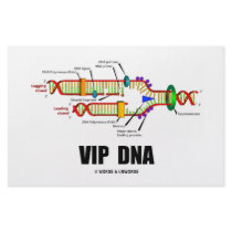 VIP DNA (DNA Replication Humor) stationery