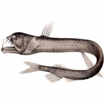 Viperfish Cutout Magnet/Sculpture Photo Sculptures