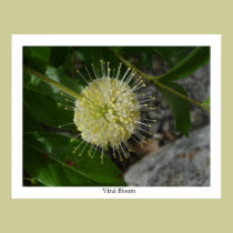 Viral Bloom posters