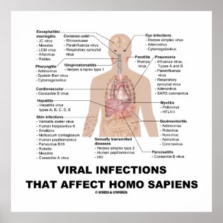 Viral Infections That Affect Homo Sapiens Poster