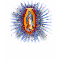 Virgen de Guadalupe t-shirts