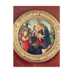 Virgin and Child with John the Baptist Postcard