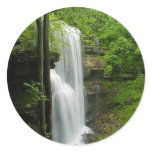 Virgin Falls Round Stickers