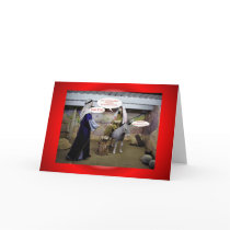 VIRGIN MARY AND JOSEPH IN BARN cards