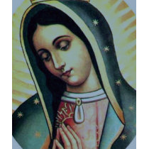 Virgin of Guadalupe DARK t-shirts