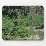 Virgin River at Zion National Park Mouse Pad