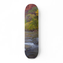 Virgin River Near The End Where The Narrows Start skateboards