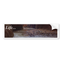 Virgin River Running Through Zion Narrows bumper stickers