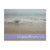 virginia beach, beach, ocean, shore, virginia