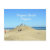 "Virginia, Beach",