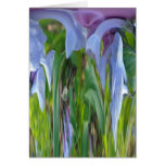 Virginia Bluebells Abstract Card