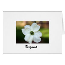 Virginia Dogwood Card