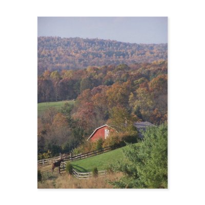 Virginia in the Fall Postcard by closphotos