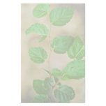 Virginia Round-leaf Birch Stationery Design