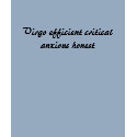 Virgo efficient critical anxious honest t-shirts