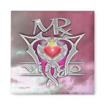 virgo magnets