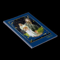 Virgo notebooks