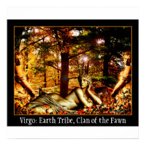 Virgo poster posters