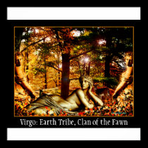 Virgo poster posters