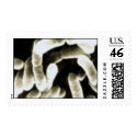 virus postage by daniella1 virus postage