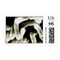 virus postage