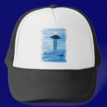 VISION-D8 painting blue hue hats