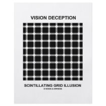 Vision Deception Scintillating Grid Illusion Personalized Flyer