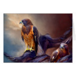 Vision Of The Hawk 2 ArtCard
