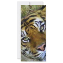 Vision of you_ rack cards by ELENNE Vision of you_ rack cards